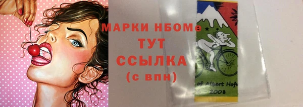 сатива Баксан