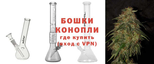 сатива Баксан