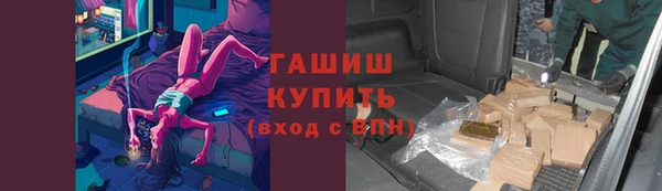 сатива Баксан