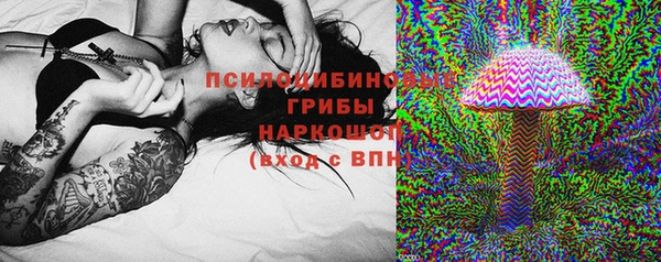 сатива Баксан