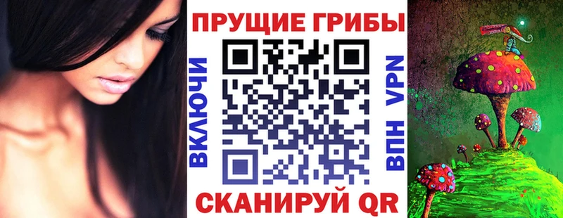 Псилоцибиновые грибы Psilocybine cubensis  OMG рабочий сайт  Ивантеевка 